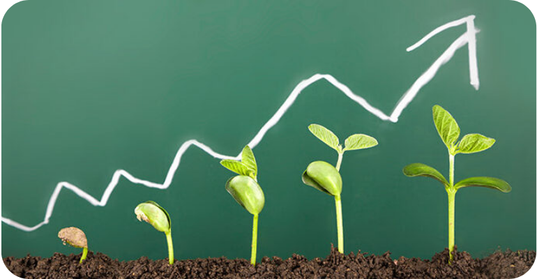Consulting, Startup-Beratung